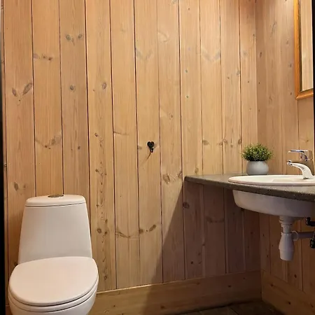 Mikkelbu In - Ski-in Ski-out Ferienhaus Hemsedal
